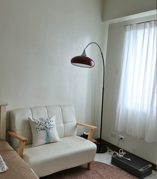 Rossa Dome Arc Floor Lamp