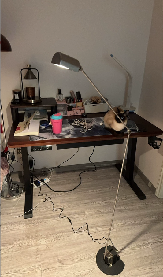 Alton Full-Spectrum Task Floor Lamp