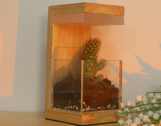 Terrarium Plant Table Lamp